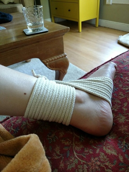 shibaritutorials: My first ever successful shibari tie! It’s a rendition of the Gravity Boot d