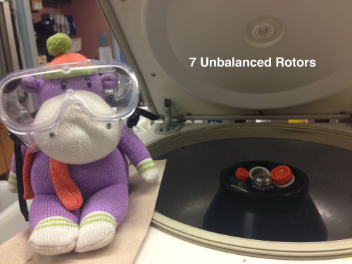 adventuresinchemistry:     Merry Christmas and Happy Holidays from Lewis the Science Hippo!  THIS IS HELL!!!