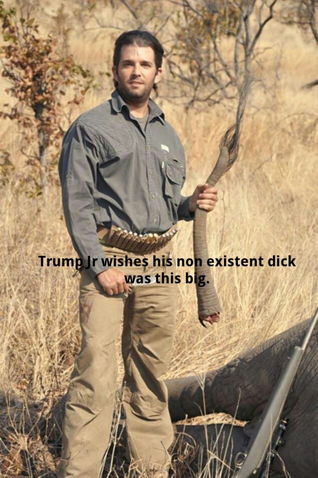 Someone should shoot him and is old man for fun.