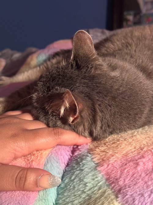 My Baby Nyla, Shes So Sweet