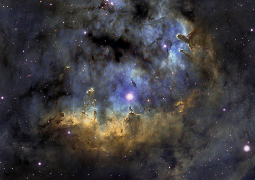 fromquarkstoquasars: Astronomy Photo of the Day: 5/30/15 — Vividly Blue NGC 7822 This beautifu