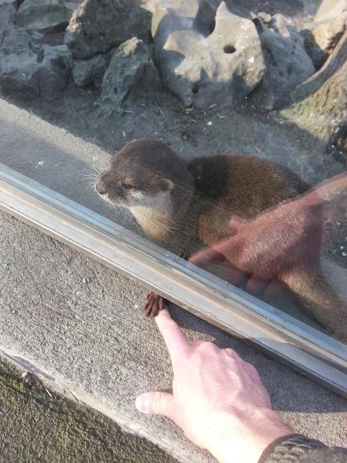 awwww-cute:Went to the zoo today and this little guy came up to me and held my finger