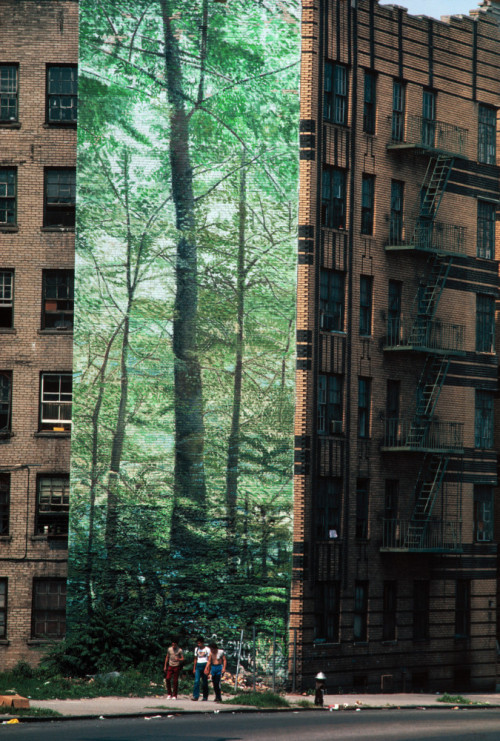 arach-ne:A mural of a forest in the South Bronx. New York City, USA. 1983.Photographed by Thomas Hoepker