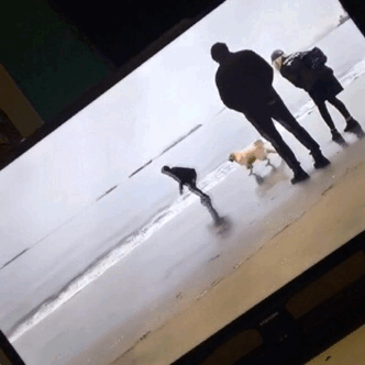 darthcookies:  Chica nearly tripped Mark over on livestream so naturally I immortalised