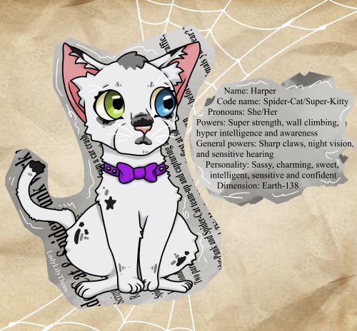 New Spider-Pet, Im Thinking Of Making The Lore That Shes Hobies Pet Cat That Followed Him Into Spider-society