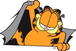 chemtrailer:  garfield: I’m coming out