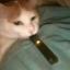 ursleeparalisysdemon