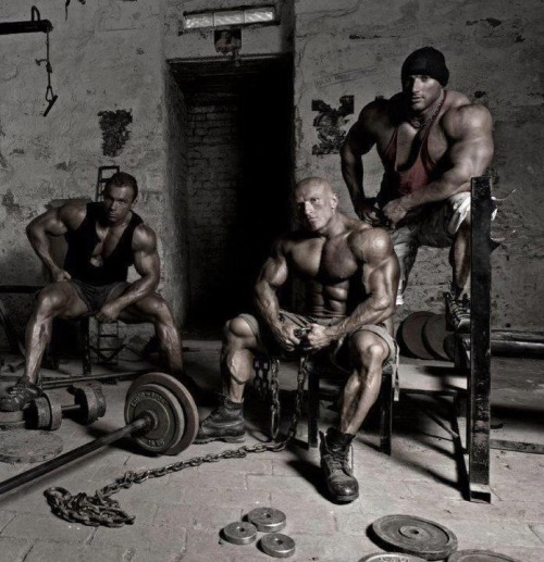 mymuscledreams:  drwannabe:  Vojta Koritensky, Arvydas Mickus, and an unknown dudes [view all posts of Vojta] [view all posts of Arvydas]  When we opened the basement in our new home this is what we found down there ….. We let them stay   The muscle