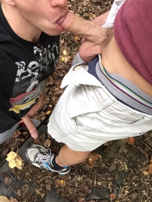 Good Looking Gays