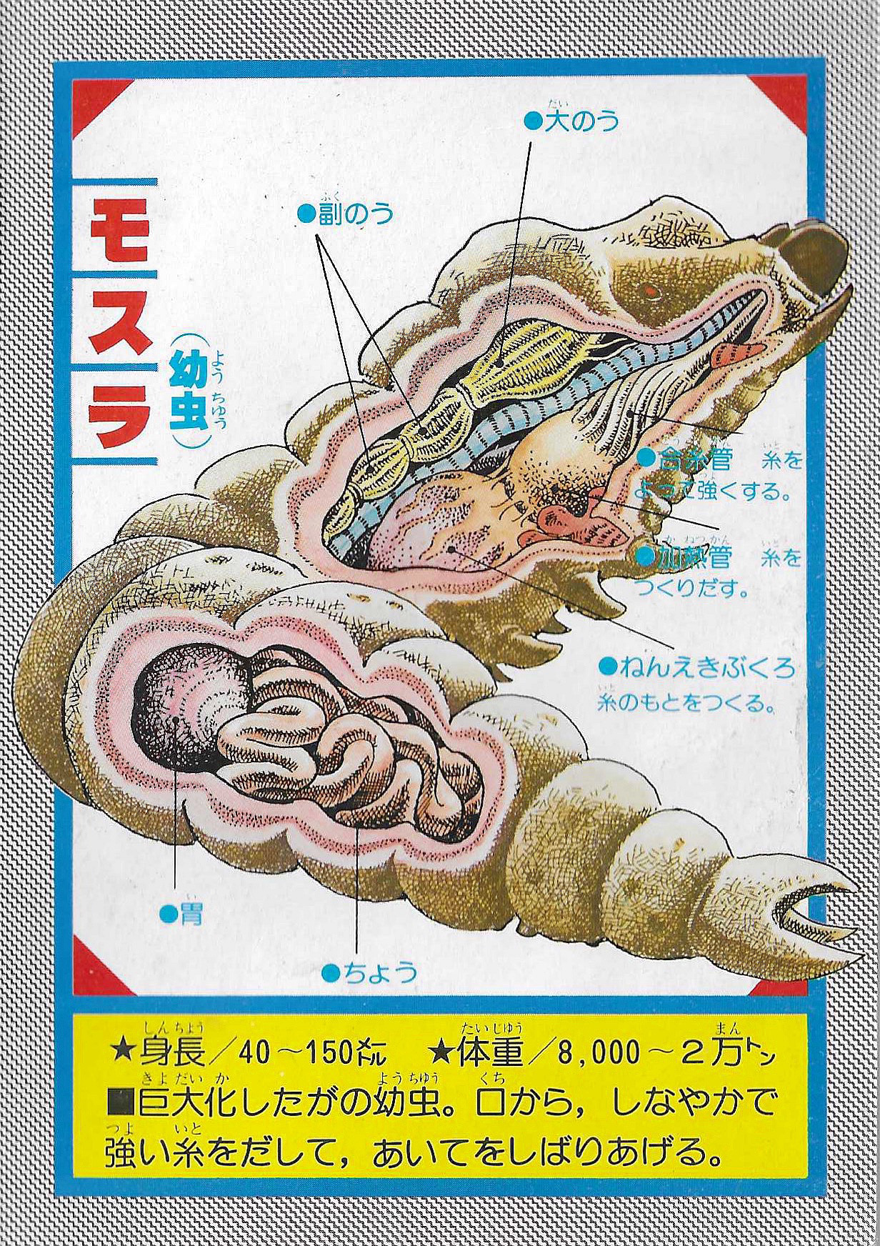 12796 Kamenrider (1995 WF) is a main-belt asteroid
