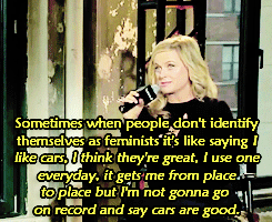 amypoehler: The topic of feminism is another