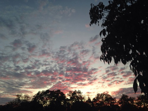 I've Been So Obsessed W/ The Sky Lately. Like Look At How Beautiful It Is.