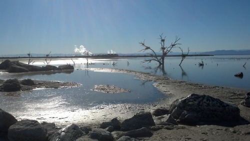 Fluid flow in a geothermal system This is a shot of the Salton Sea in California. The Salton Sea is 