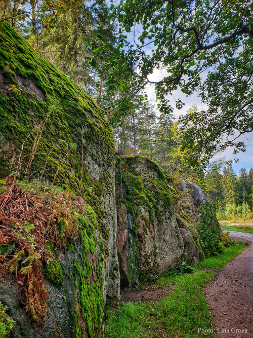 ⛰Mon Repos or Monrepos is an extensive English landscape park in the northern part of the rocky isla