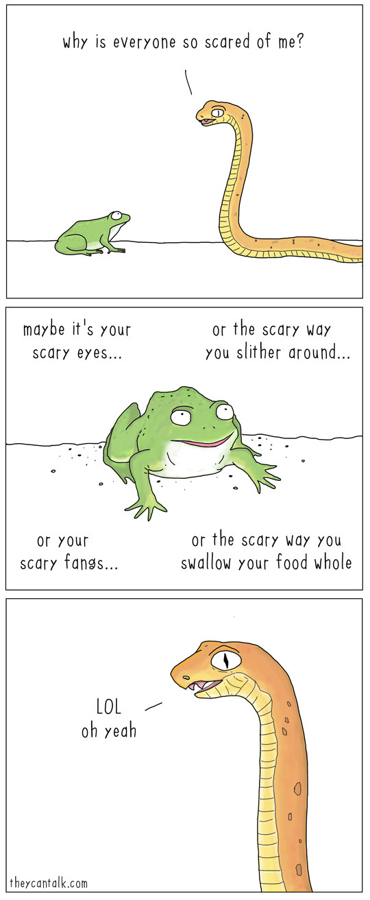 theycantalk:  snakes are scary.