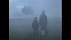c-inefilia: “Before I saw Angelopoulos’s film, I, who had been brought up without a father, would never have thought that I would discover him in the image of a tree. This last scene of Landscape in the Mist was a revelation for me. It is a unique,