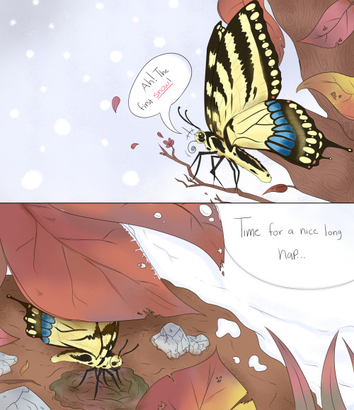 Work art I had to do for the kids at my internship featuring Tiny Tiger the Eastern Swallowtail and Viridiansong, my warriors OC LOL. Havent posted here in a minute, figured y’all might enjoy them reacting to the weather!