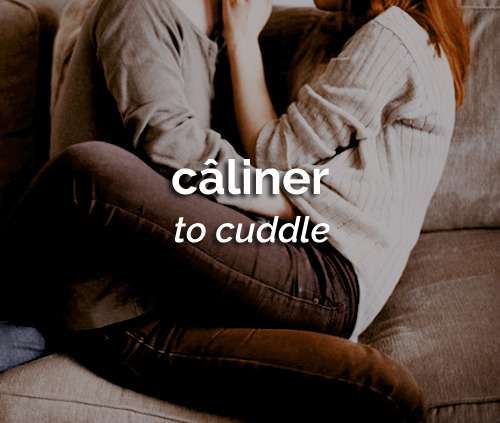 dailyfrench:  le 25 octobre   ⋮   câliner  ⋮   to cuddle  