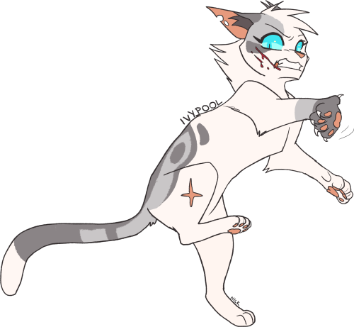 warriorsdesignsnick: Ivypool