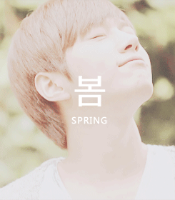 eteru:  3/∞ reasons to love Kim myungsoo → a man for all seasons 