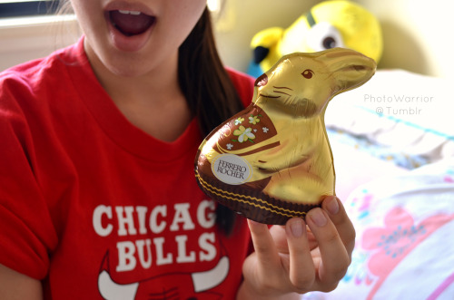 first chocolate bunny of the easter season