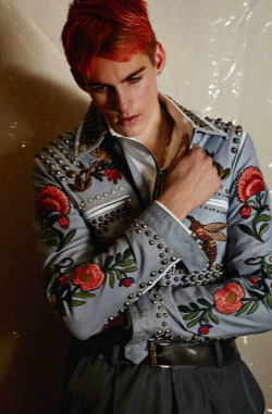 justdropithere:   Presley Gerber by Collier