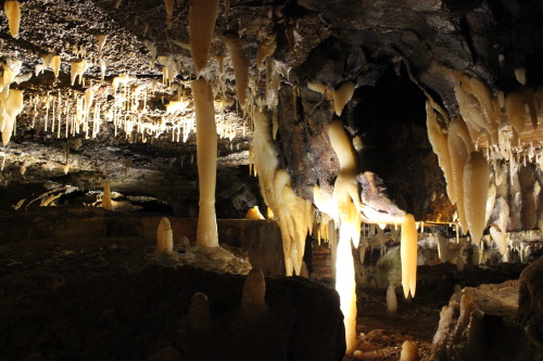 returntonature04:Ohio Caverns - West Liberty, OHTo be below the earth is my happy place.