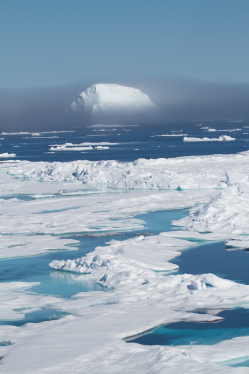 nesola:  Arctic Quest 2010 86 (von ClaytonAnderson) 