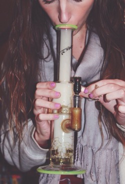 brndns-baked:  kelsijuanaa:  Smoking watching Family Guy  Your slyme toro is so dope :) 