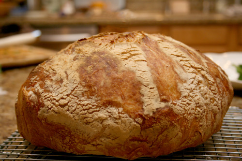 #bread#bread making#baking#grandmacore#cottagecore#farmcore#homemaking