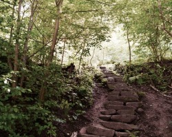 periscope-9: Sunlit paths in Heidelberg,