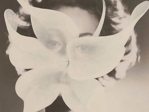 Marella Agnelli. Illustration by Grillo Demo
