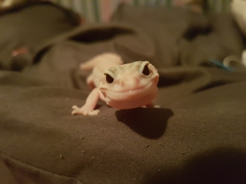 “Mom, I know I’m beautiful but right now I’m exploring.&ldquo;