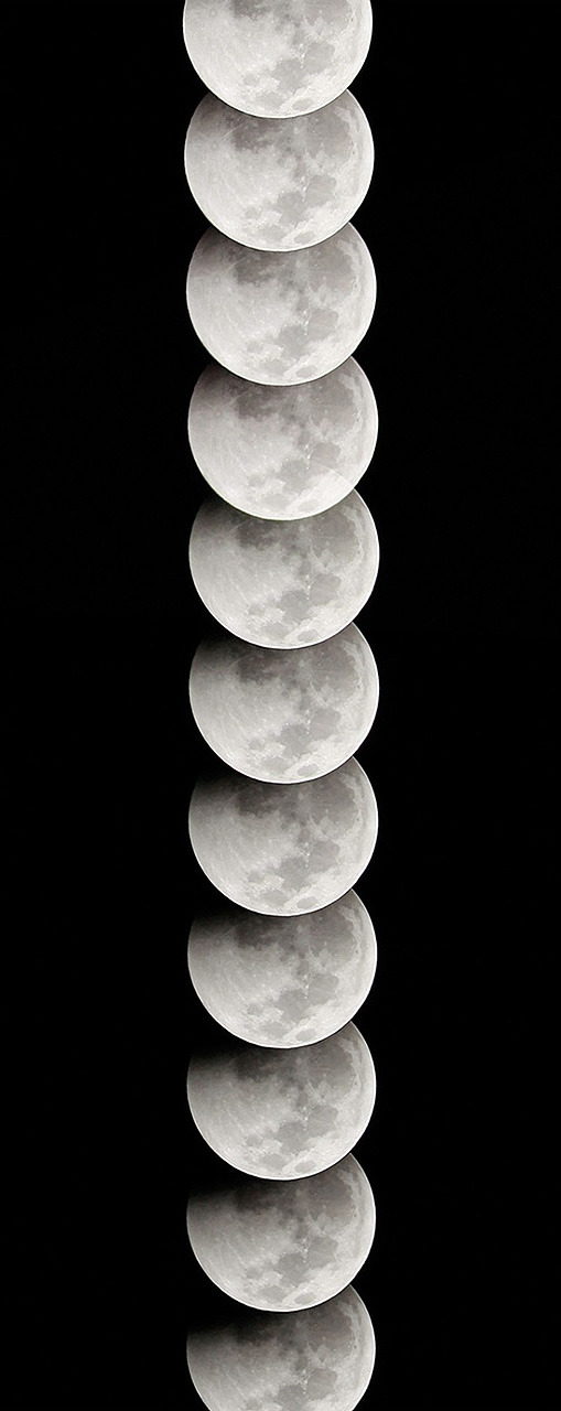 lunaghoststar:61 photos of the December 21st 2010 Lunar eclipse, taken in 2 minutes