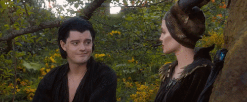The Cut Scene