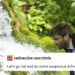 iseeyourheartandraiseyoumine:alec hardy + textposts    bonus :) 