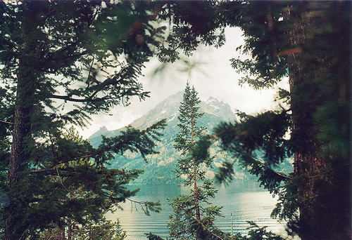 alaskandreams - W A N D E R L U S T