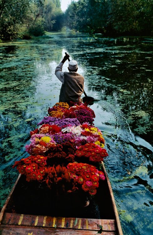 XXX asylum-art:  Steve McCurry presents 150 photos photo