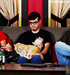 :  ↳ ray + joe the cat 