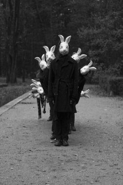 March of the bunnies…