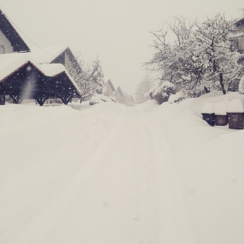 totalparanoia:  It’s just so pretty outside.  Fuckin hell I wanna run around in that
