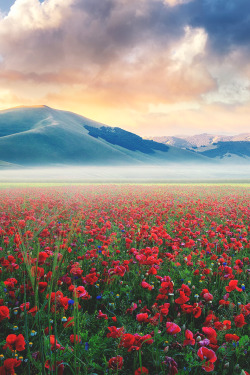 wnderlst:  Castelluccio, Italy | alexmatrix 