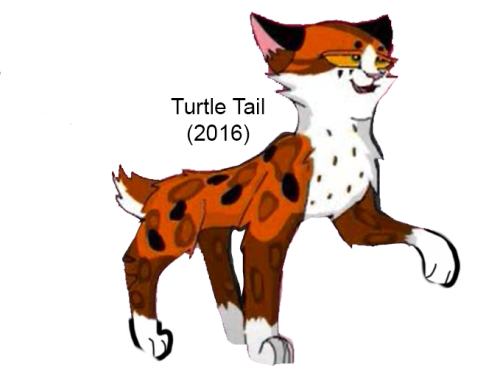 Turtle Tail(2016 version)