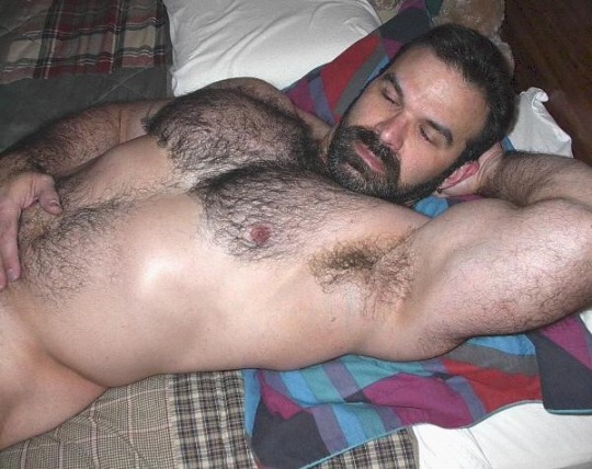 bonjourgrossebrute: