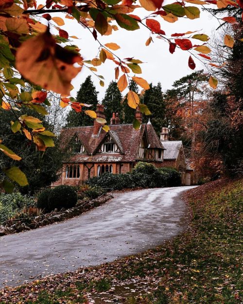 witchyautumns:  anya.g.rowe    National Trust Tyntesfield, near Bristol, UK