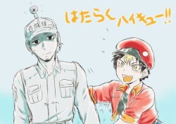 matt-yuy:  Hataraku Saibou—> Hataraku