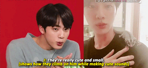 So Cute (trans.)