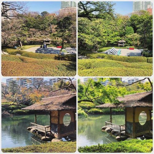 ＼おにわさん更新情報／ ‪[ 東京都港区 ] 八芳園 Happoen Garden, Minato-ku, Tokyo の写真・記事を更新しました。 ――徳川家康の家臣 #大久保彦左衛門 がかつて屋敷