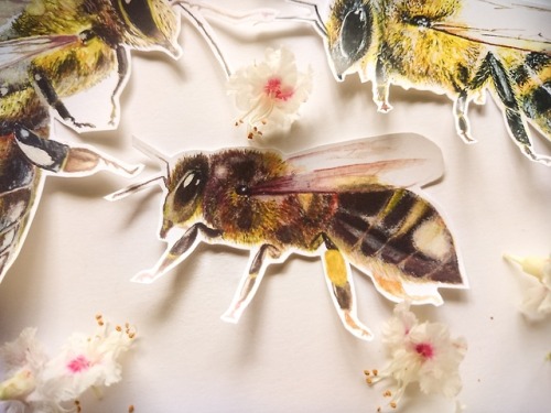 Pollen Pants Bee Sticker //Zaiguu