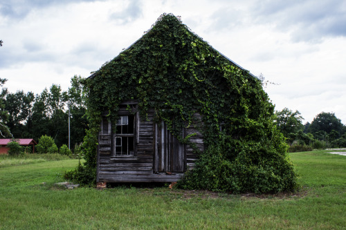 beautyofabandonedplaces:  An Overgrown Shack porn pictures